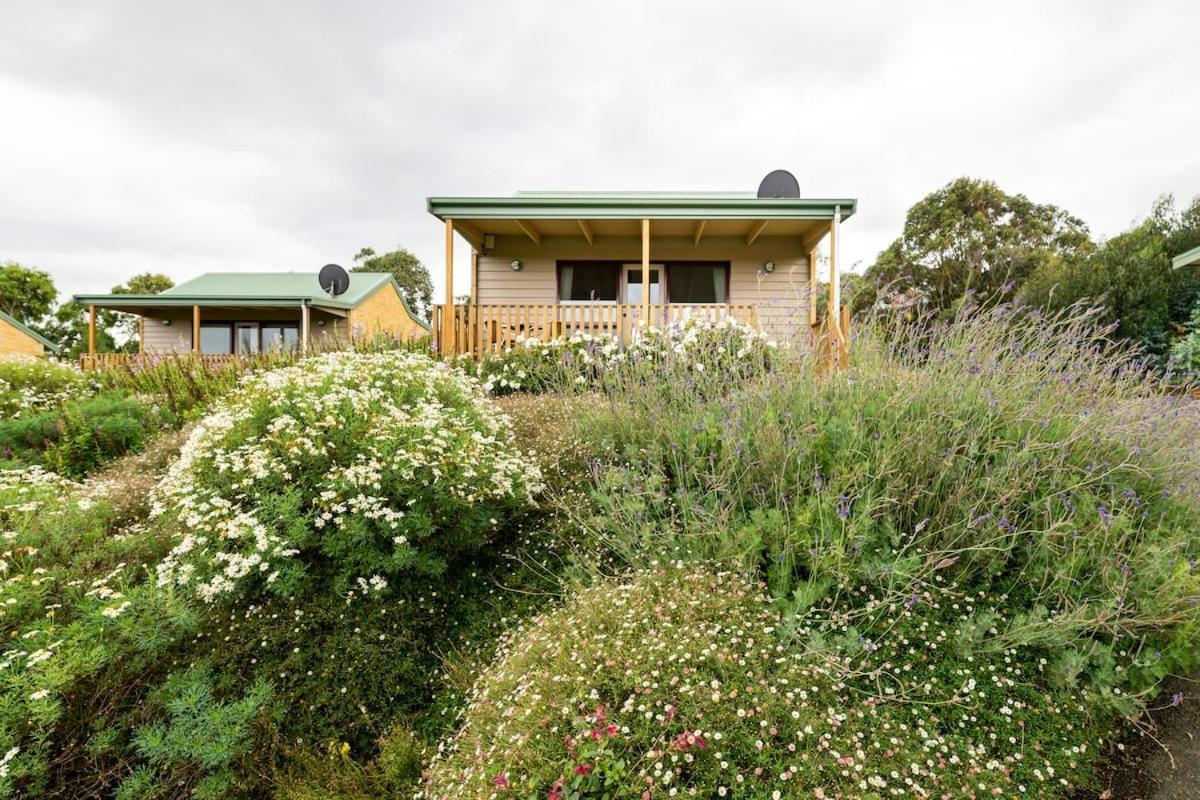 Daysy Hill Country Cottages Port Campbell Zewnętrze zdjęcie
